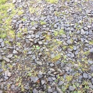 Meet your Posher, Rob